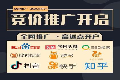 SEO技术突破：某网站流量暴增的背后故事
